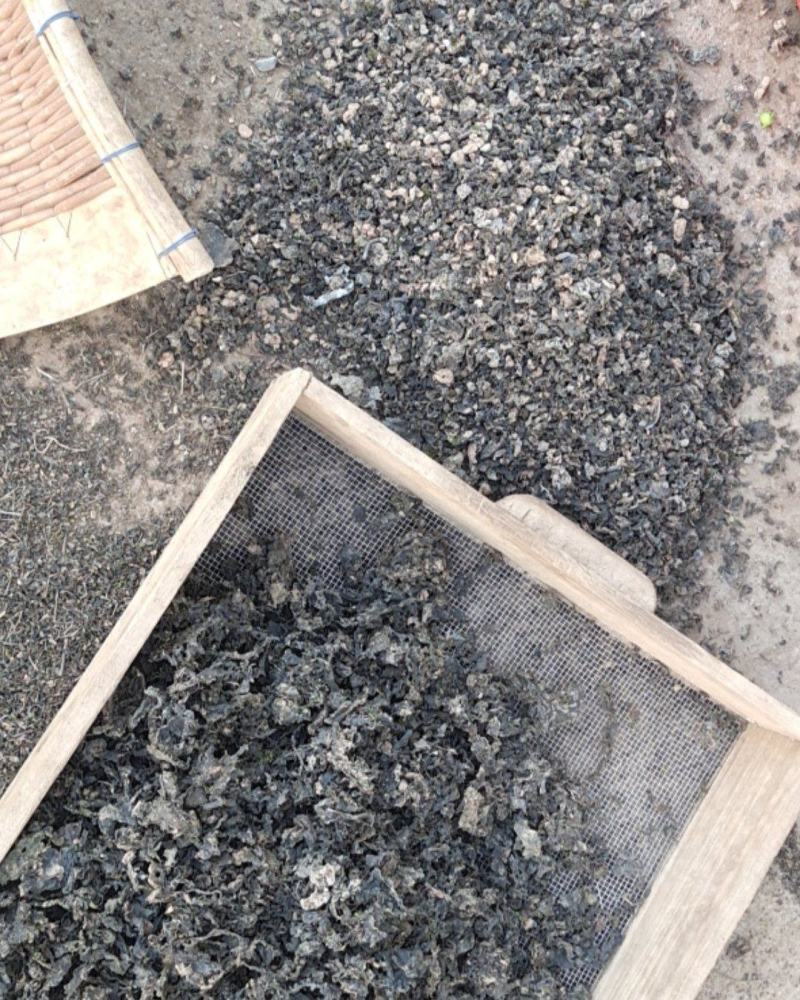 《地皮菜》野生地皮菜/多次过筛收选干净无杂，电商货，泡货