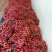 越南荔枝新鲜上市，荔枝肉厚，鲜红汁多，产地直供，欢迎联系
