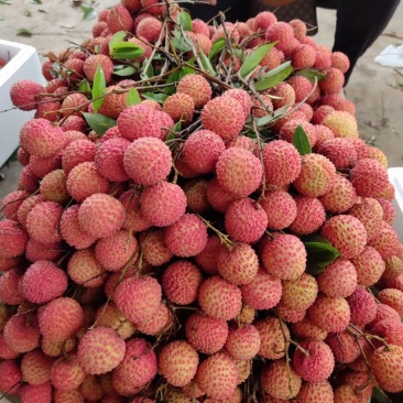 荔枝