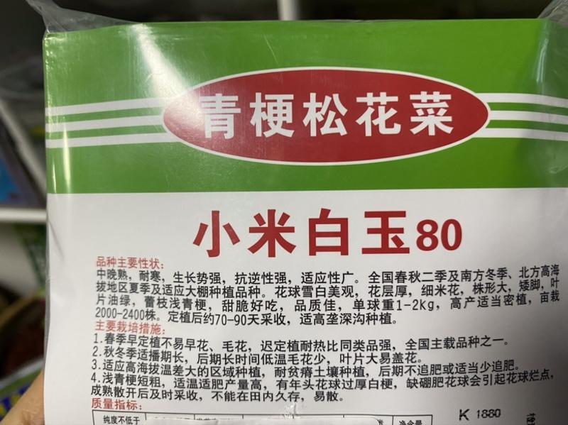 小米矮脚系列青梗松花菜种子、台湾亲本、商品性好、