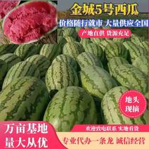 新疆吐鲁番万亩西瓜基地，大量供应硒砂瓜，质优价廉