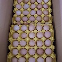 土鸡蛋广西桂林灵川，360枚一箱