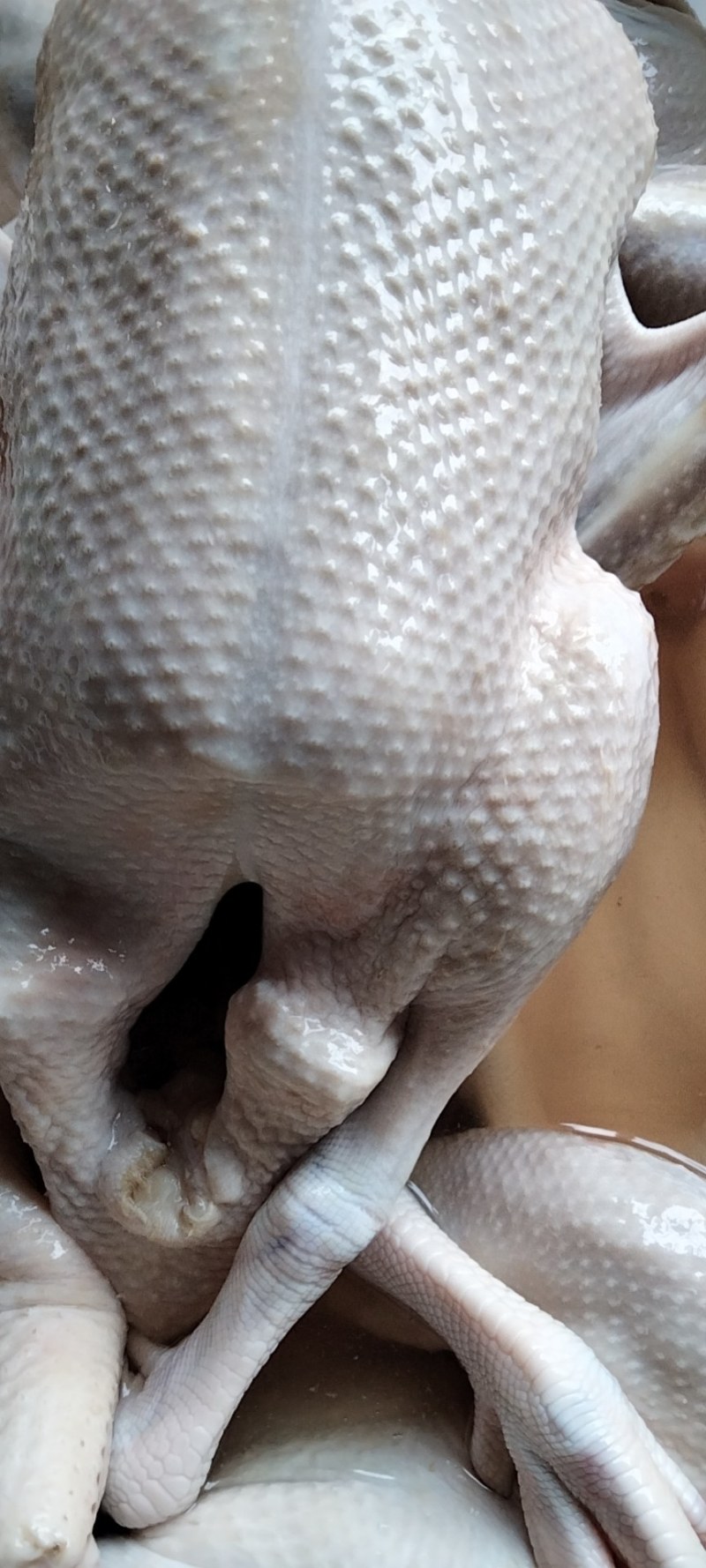 白条鸭