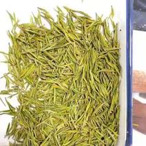 安吉白茶批发新茶正宗产地明前安吉白特级绿茶