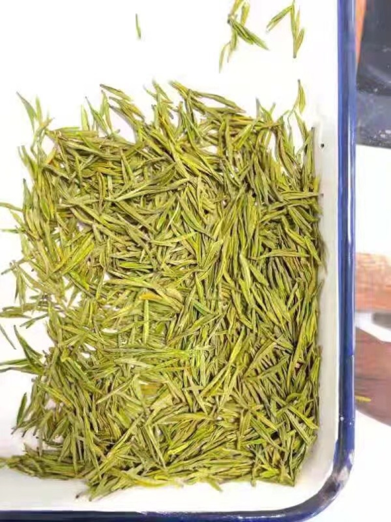 安吉白茶批发新茶正宗产地明前安吉白特级绿茶