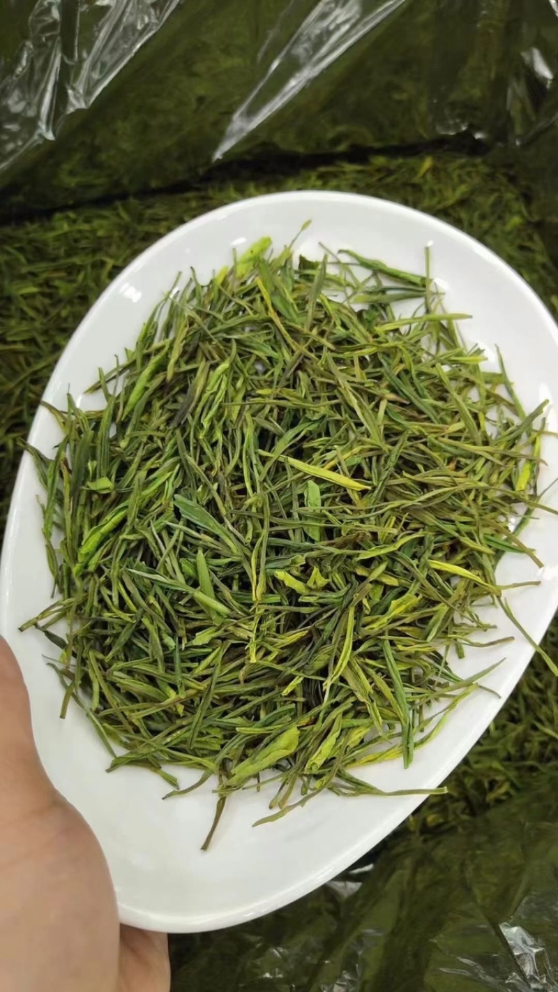 安吉白茶批发新茶正宗产地明前安吉白特级绿茶