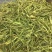 安吉白茶批发新茶正宗产地明前安吉白特级绿茶