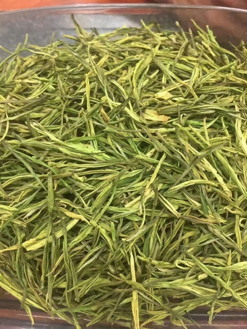 安吉白茶批发新茶正宗产地明前安吉白特级绿茶