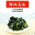 盐渍裙带菜海白菜海藻菜海带裙带菜凉拌菜麻辣烫火锅食材产地
