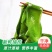盐渍裙带菜海白菜海藻菜海带裙带菜凉拌菜麻辣烫火锅食材产地