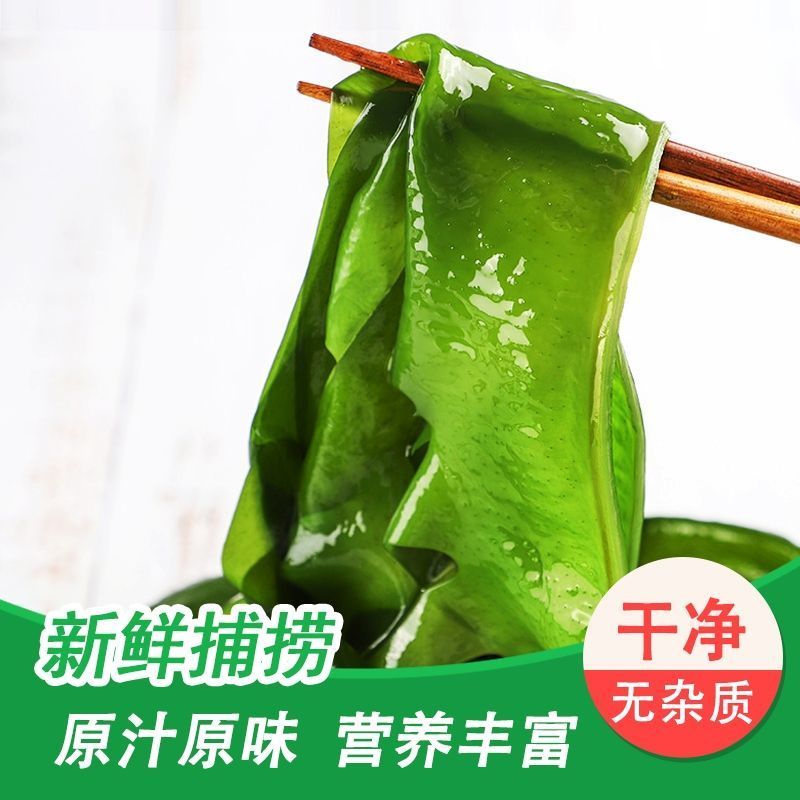 盐渍裙带菜海白菜海藻菜海带裙带菜凉拌菜麻辣烫火锅食材产地