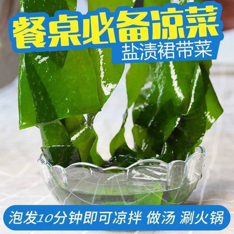 盐渍裙带菜海白菜海藻菜海带裙带菜凉拌菜麻辣烫火锅食材产地