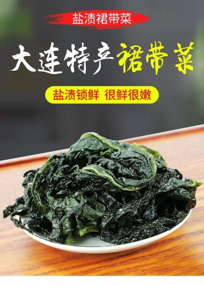 盐渍裙带菜海白菜海藻菜海带裙带菜凉拌菜麻辣烫火锅食材产地