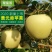 黄元帅苹果黄金帅香蕉黄苹果10斤水果粉面2斤当季新鲜平果