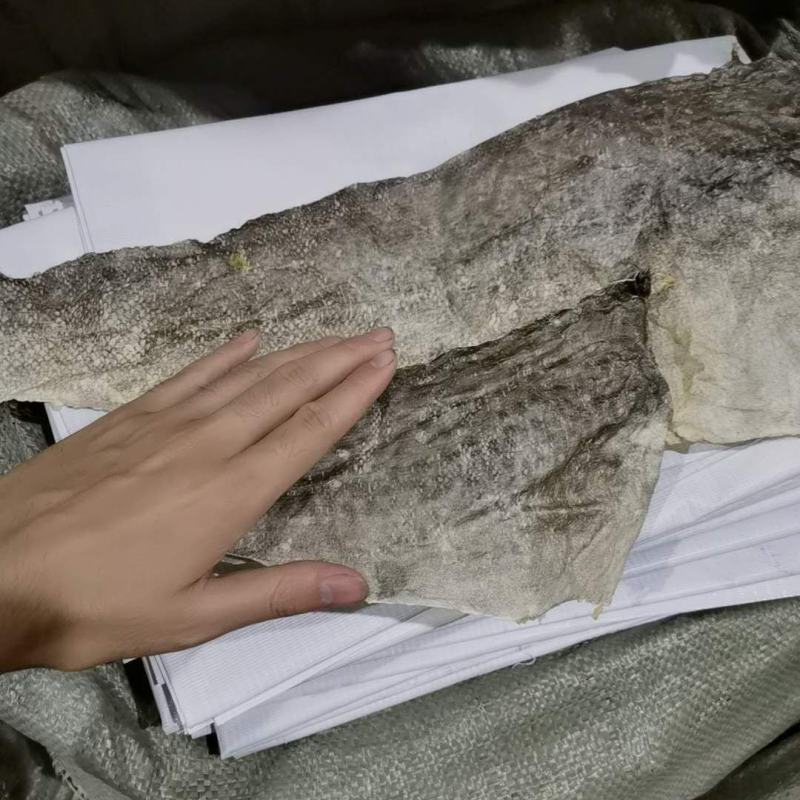 食用鱼皮深海鱼皮摆鱼皮凉拌鱼皮大海鱼皮地摊靠谱鱼皮产品
