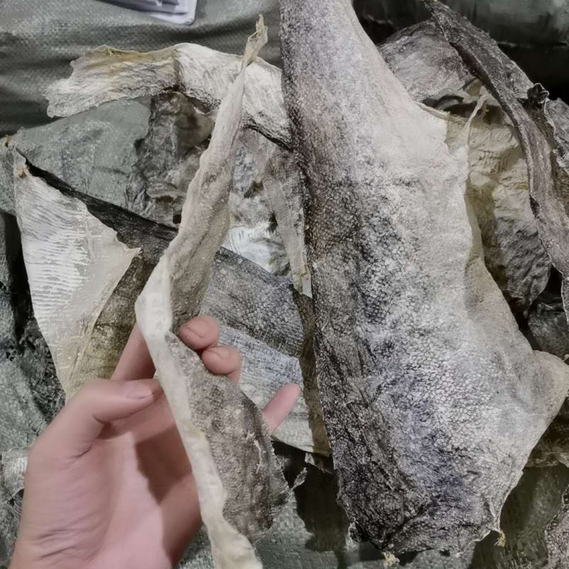 食用鱼皮深海鱼皮摆鱼皮凉拌鱼皮大海鱼皮地摊靠谱鱼皮产品