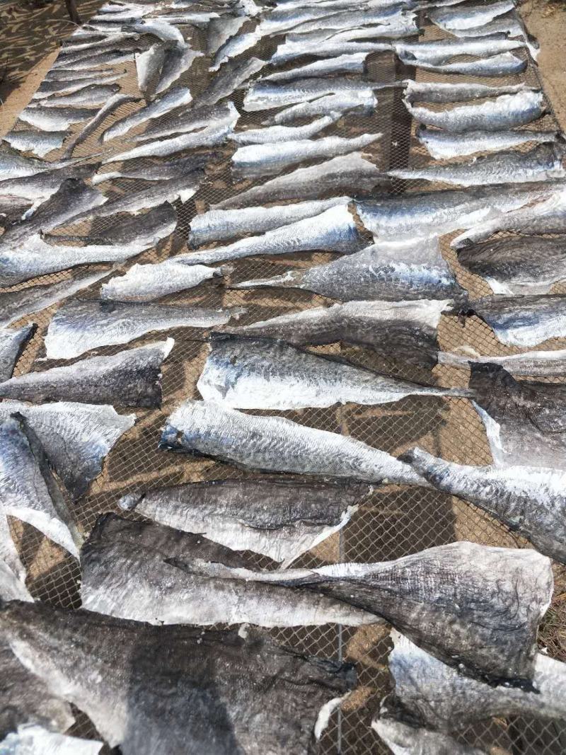 食用鱼皮深海鱼皮摆鱼皮凉拌鱼皮大海鱼皮地摊靠谱鱼皮产品