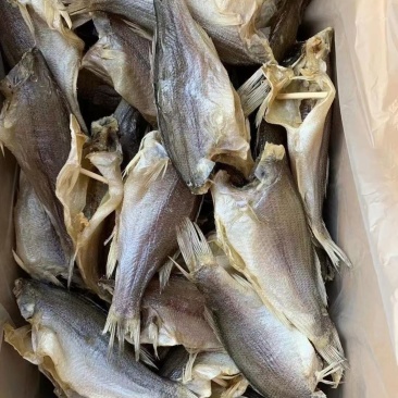 鲈鱼干摆地摊展会鲈鱼干去头去内脏鲈鱼干花鲈鱼海鲜干货