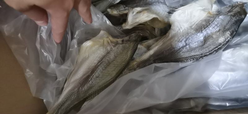 鲈鱼干摆地摊展会鲈鱼干去头去内脏鲈鱼干花鲈鱼海鲜干货