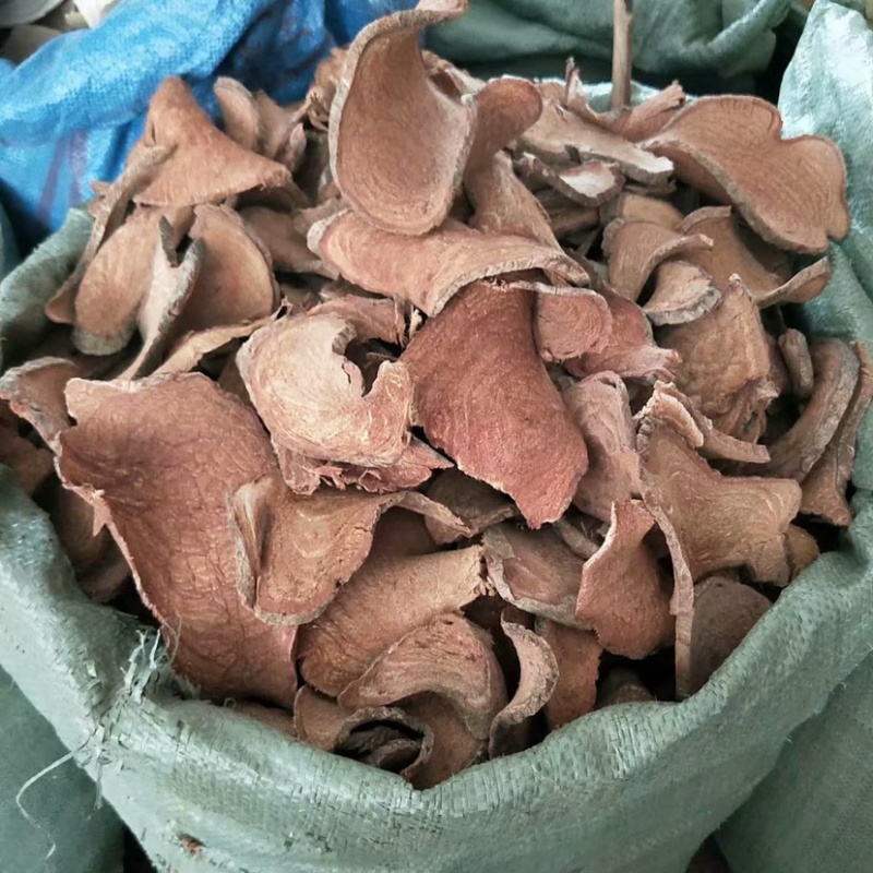 中药材过江龙过岗龙货品质量保证批发各种中药材