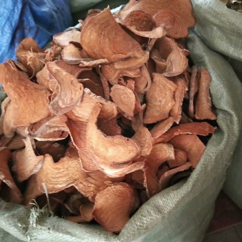 中药材过江龙过岗龙货品质量保证批发各种中药材