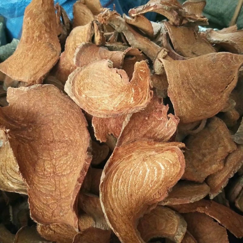 中药材过江龙过岗龙货品质量保证批发各种中药材