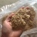 麸皮现货供应，麸皮现货供应，麸皮现货供应