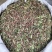 中药材忍冬藤银花藤货品质量保证批发各种中药材