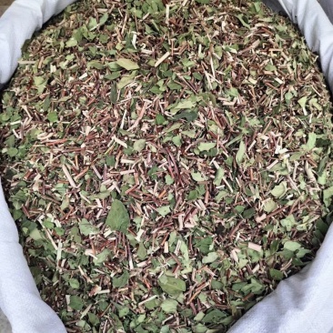 中药材忍冬藤银花藤货品质量保证批发各种中药材