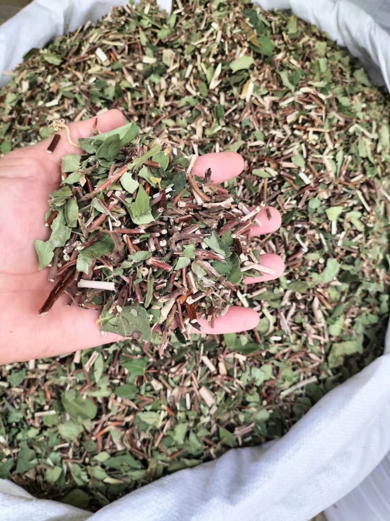 中药材忍冬藤银花藤货品质量保证批发各种中药材