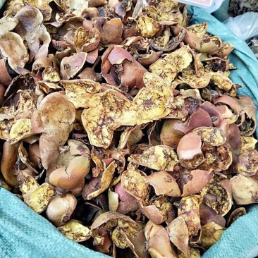 药材石榴石皮货品质量保证批发各种中药材