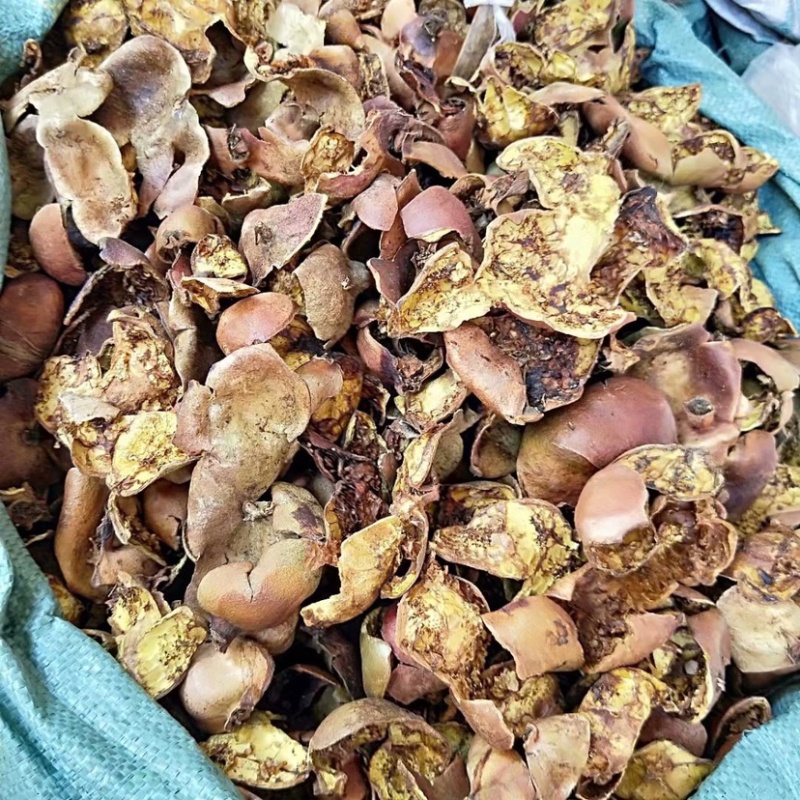 药材石榴石皮货品质量保证批发各种中药材