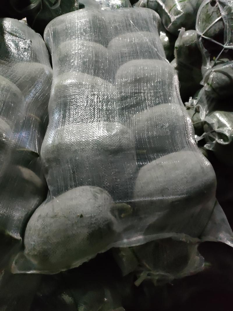 四川本地米冬瓜，口感好，产地直供，一手货源，冬瓜