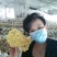 批发走量各种平菇，榆黄菇，红平菇菌棒