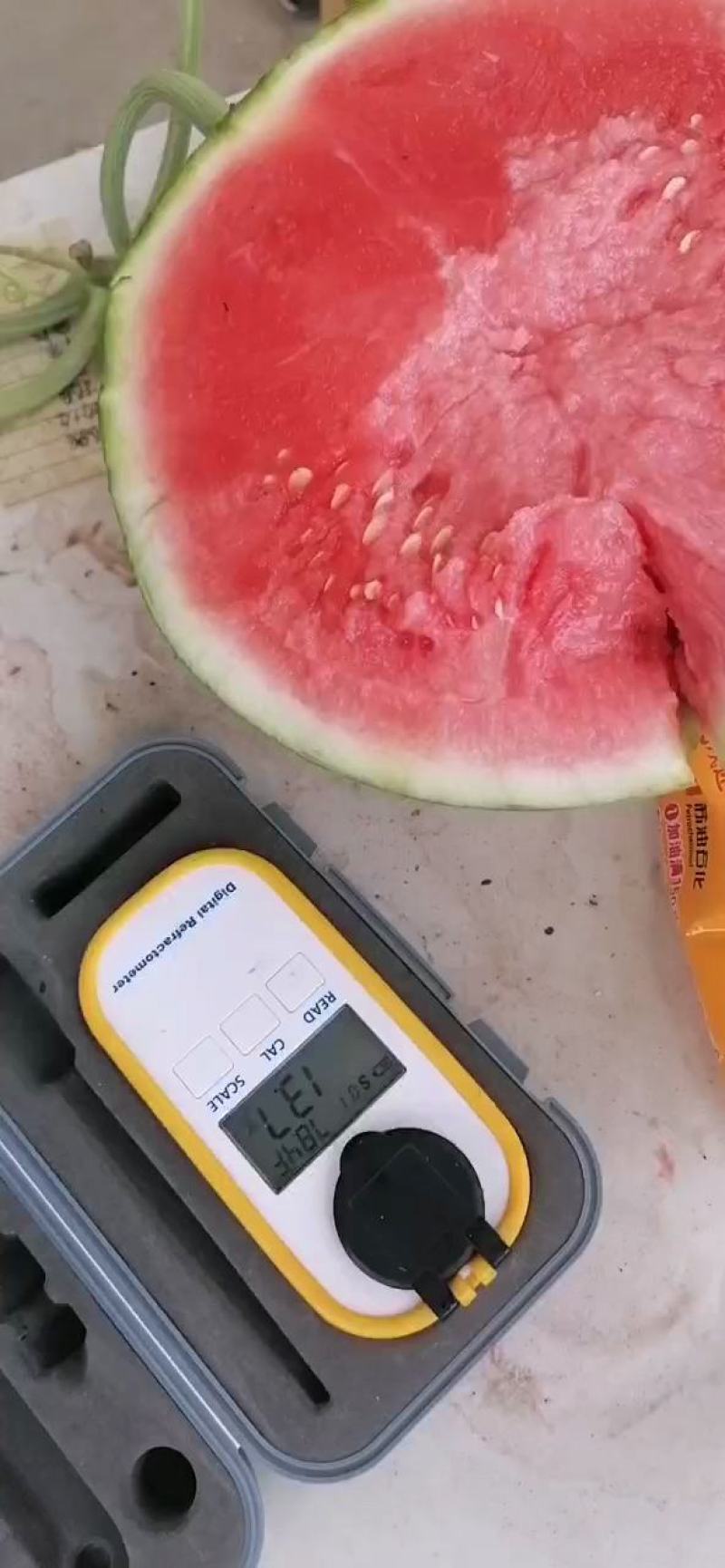 夏邑县大棚精品麒麟美都西瓜保证质量大吨位供应