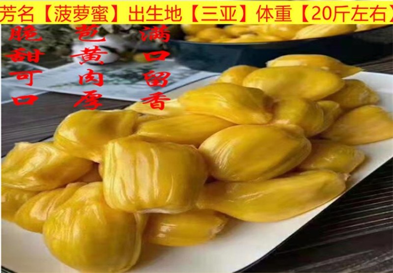 海南三亚菠萝蜜黄肉干苞现摘现发价格优惠货源充足