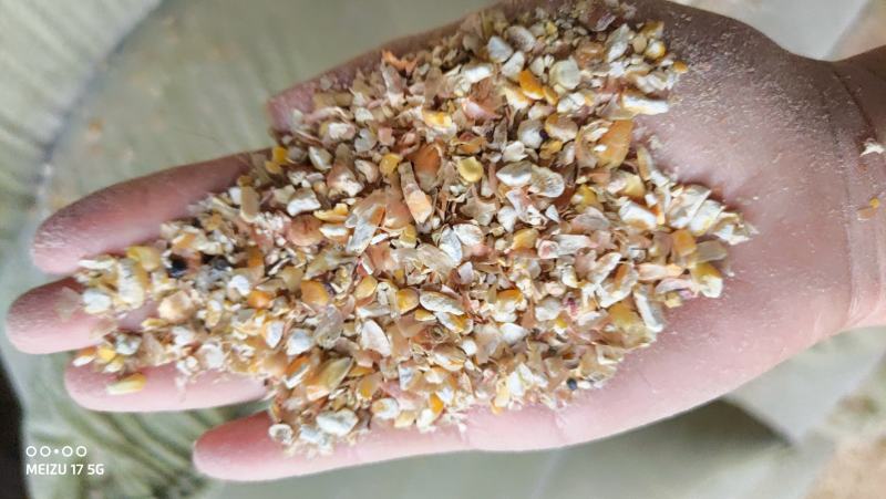 碎玉米东北粮8-9个粮无土无沙没有霉变养殖专用