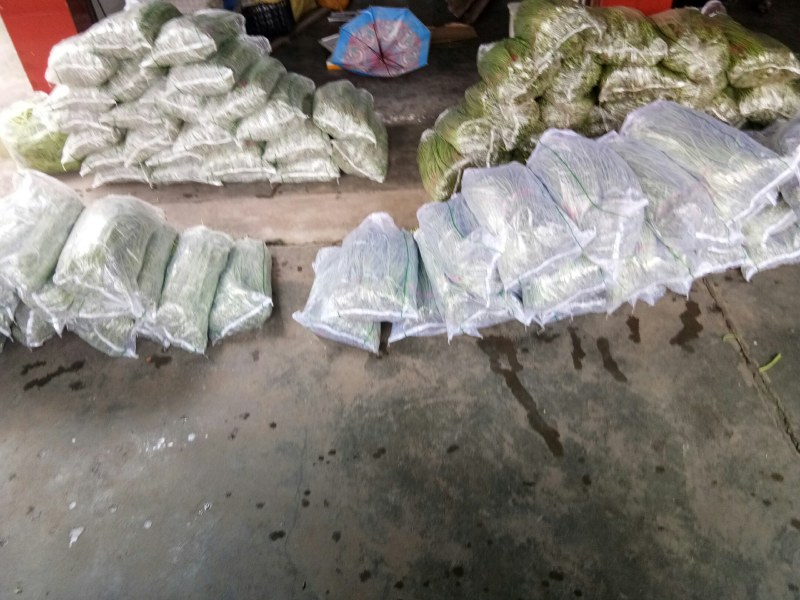 豇豆（新鲜豇豆现货）