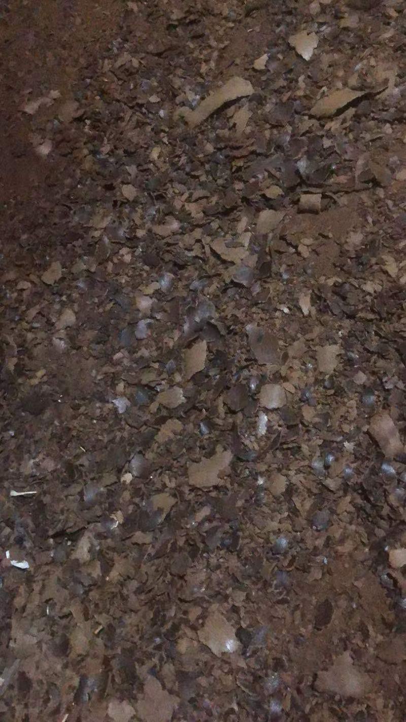 云南罗平县油菜籽35左右，货源稳定，接受长期合作，