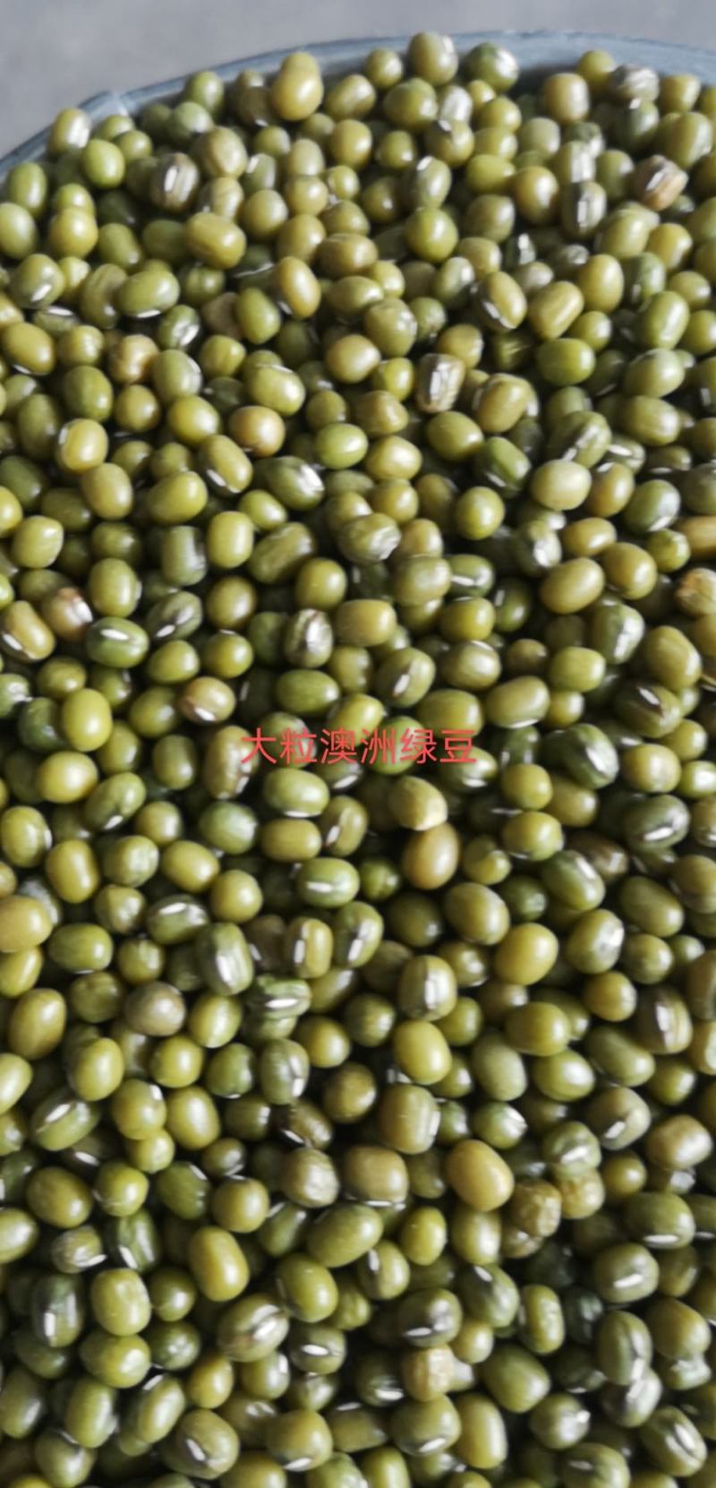 批发进口明绿豆东北明绿豆毛绿豆煮粥，熬绿豆汤易烂