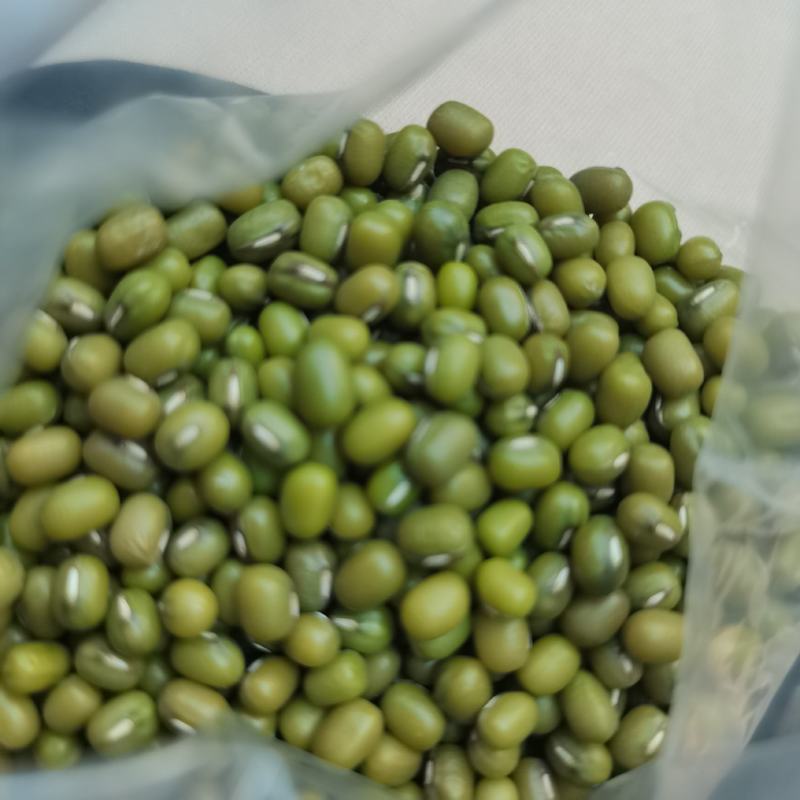 批发进口明绿豆东北明绿豆毛绿豆煮粥，熬绿豆汤易烂