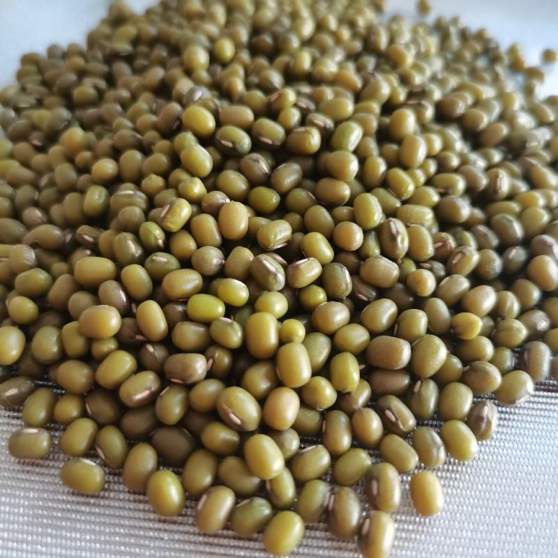 批发进口明绿豆东北明绿豆毛绿豆煮粥，熬绿豆汤易烂