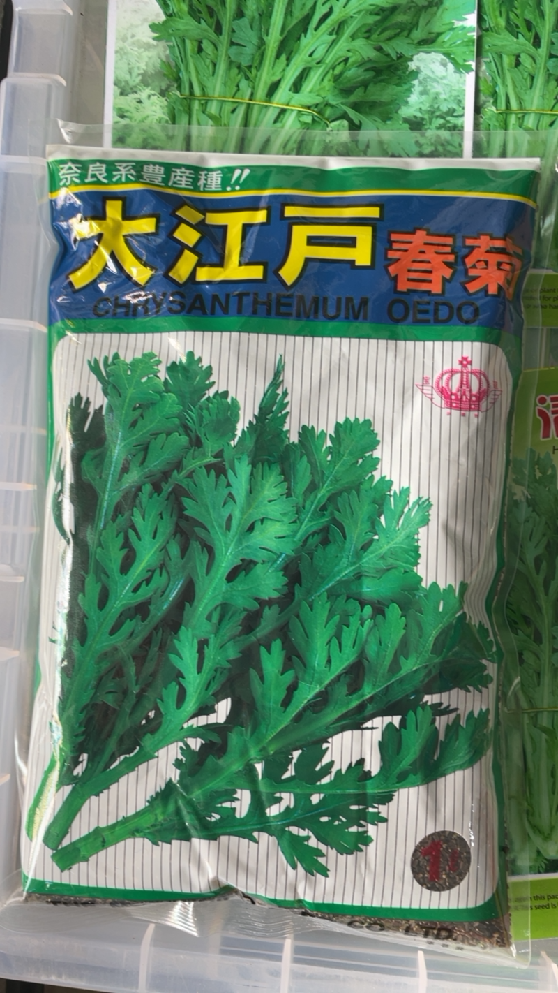 日本进口茼蒿菜种子原装正品全国部分地区包邮