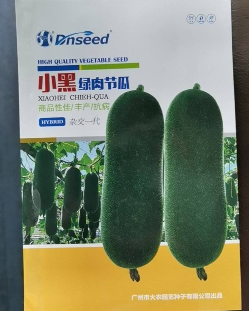 黑皮小冬瓜小黑绿肉节瓜种子肉质脆绿抗性强产量高