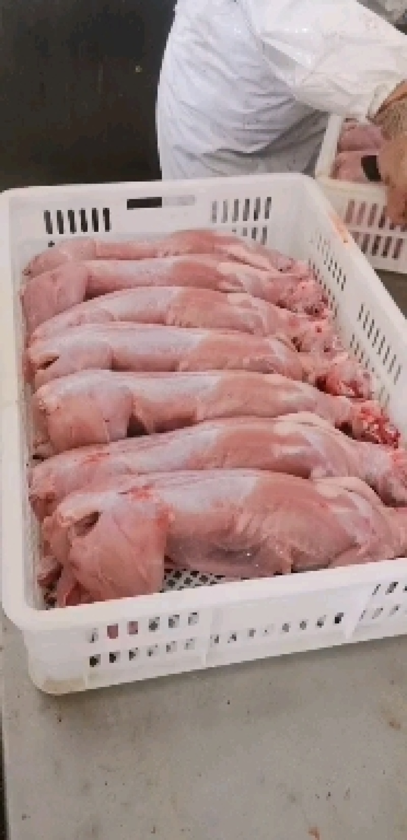 兔肉