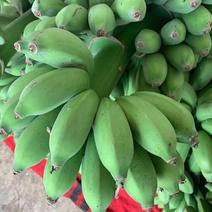 【聚便宜】君懿农业新鲜水果香蕉小米蕉皇帝蕉非西贡蕉芭