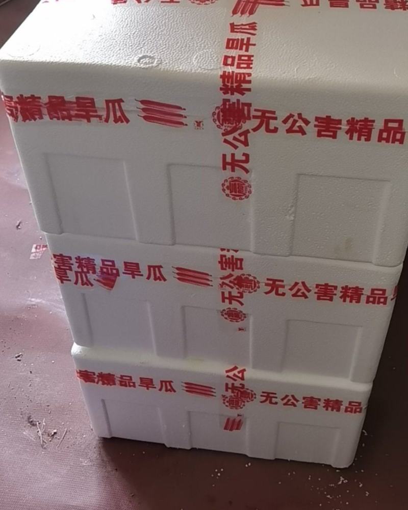 大刺旱黄瓜，本合作社常年代收代办大刺旱黄瓜，水果黄瓜