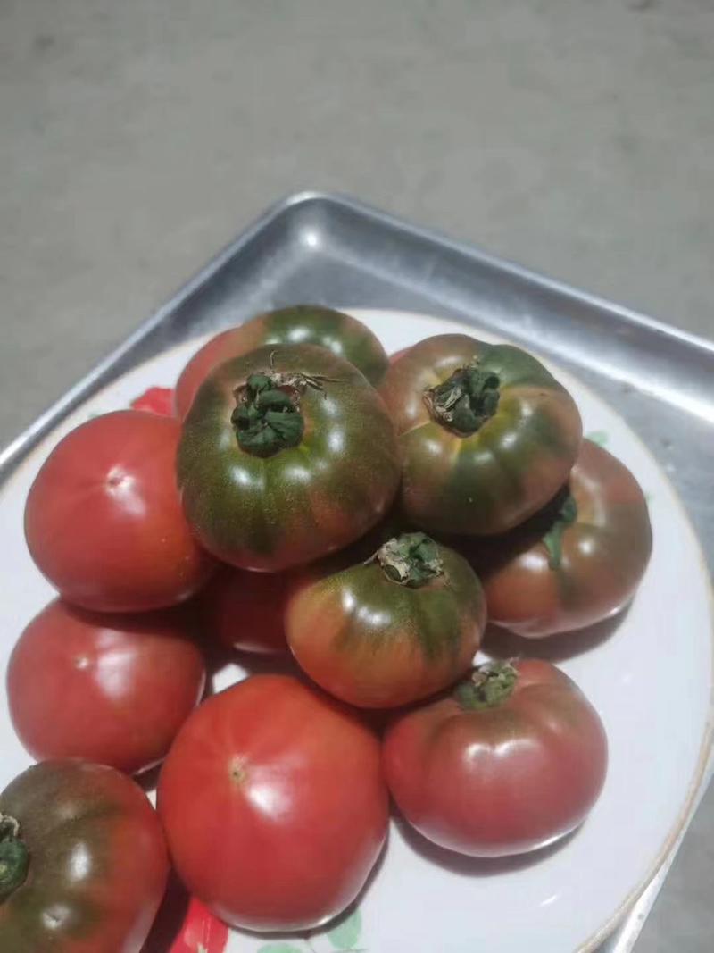 寿光市西红柿苗，一级苗，产量高，口感好，高抗病毒