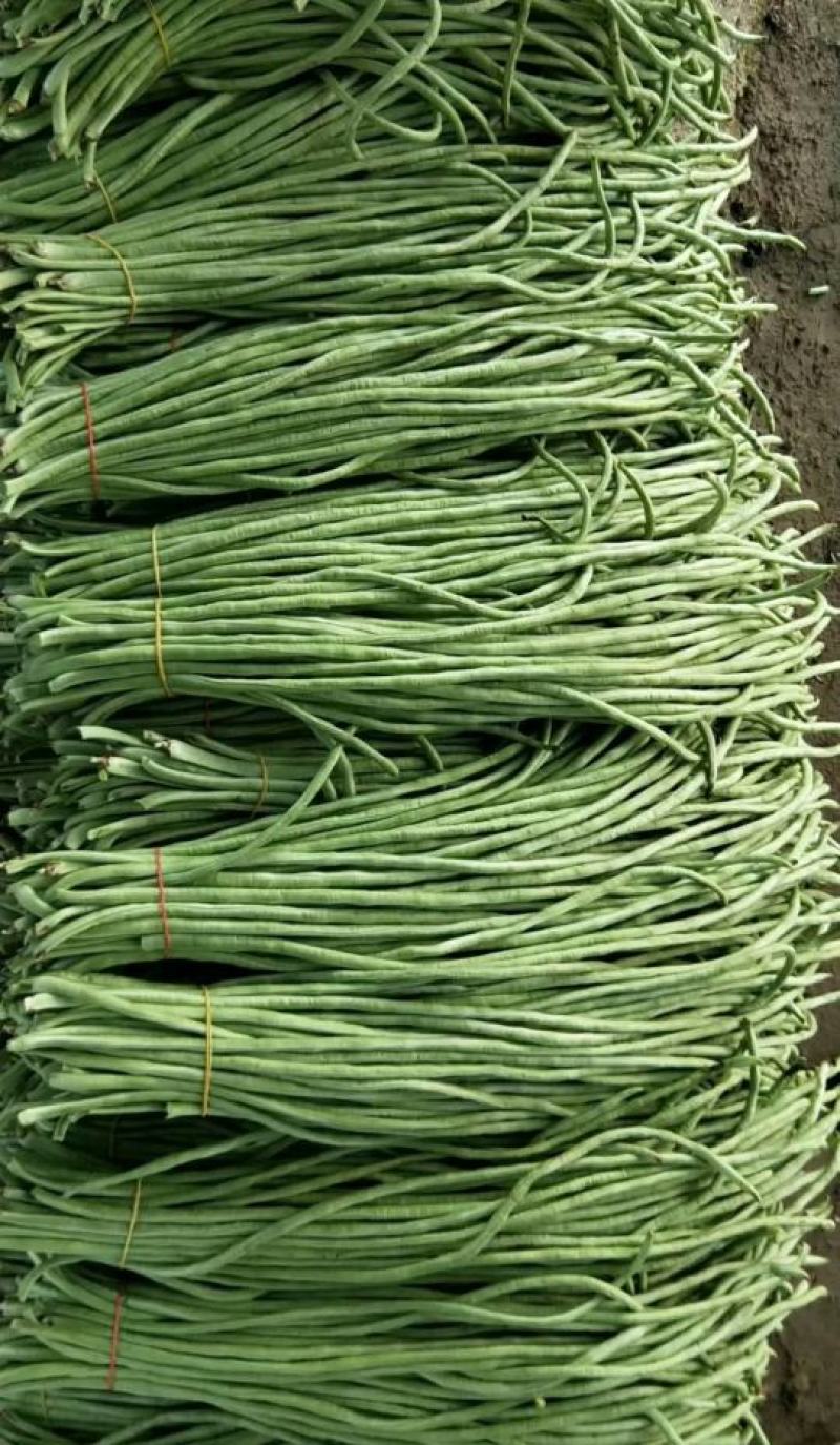长豆角/豇豆，精品长豆角，长豆角大量上市，产地直供