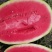 【推荐】宁夏西瓜宁夏量大从优包熟包甜欢迎来电咨